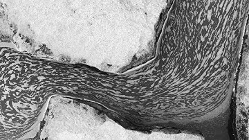 Exploring Norns w/ OP-1