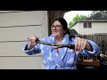 Dani failing to break objects