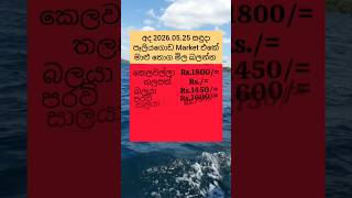 අද පෑලියගොඩ අලුත්ම මාළු මිල 2026.05.25 සඳුදා fish price list peliyagoda #fishmarket #fishprice