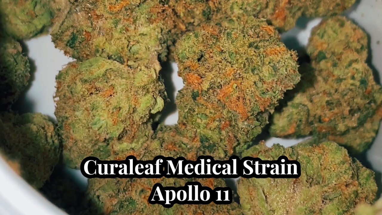 Curaleaf Apollo 11 Whole Flower