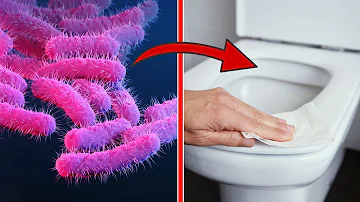 Welche Bakterien in der Toilette?
