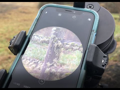 Novagrade Double Gripper
