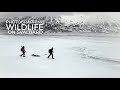 Wildlife Photography on Svalbard part 1 - Behind the scenes, winter adventure, Thomas Heaton, cabin