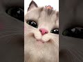 roommate 😑#funnycat #cutekitty #funnyreels #cutereels #viralreels #trendingreels #reelitfeelit#viral