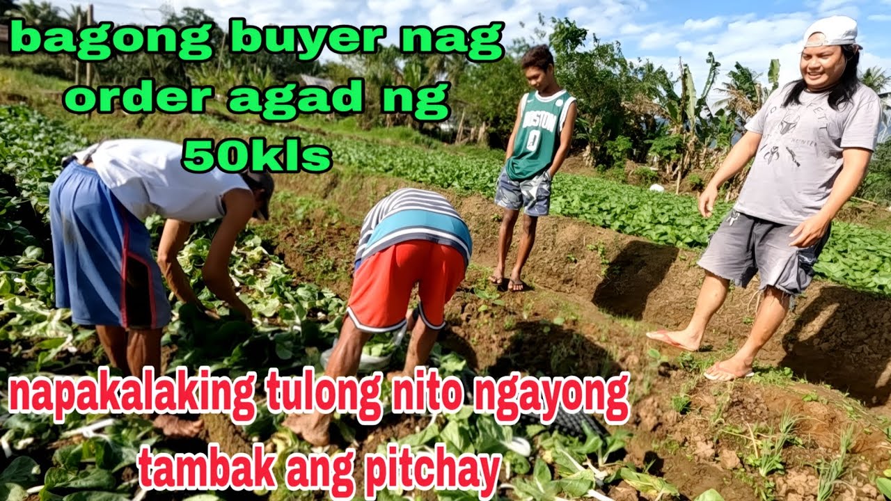 Bagong buyer nag order agad ng 50kls