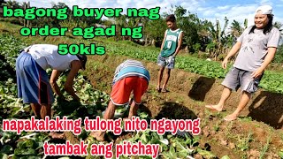 Bagong buyer nag order agad ng 50kls