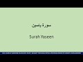 Quran 36 surah yasin full in beautiful voice  yaseen