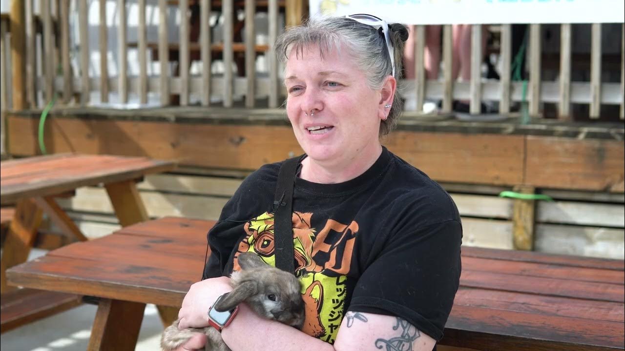 Meet Lindsey Rose City Rabbit Rescue YouTube