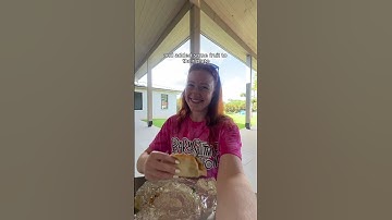 Day in the Life of a Babysitter