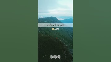 ما تيسر من سورة يس
