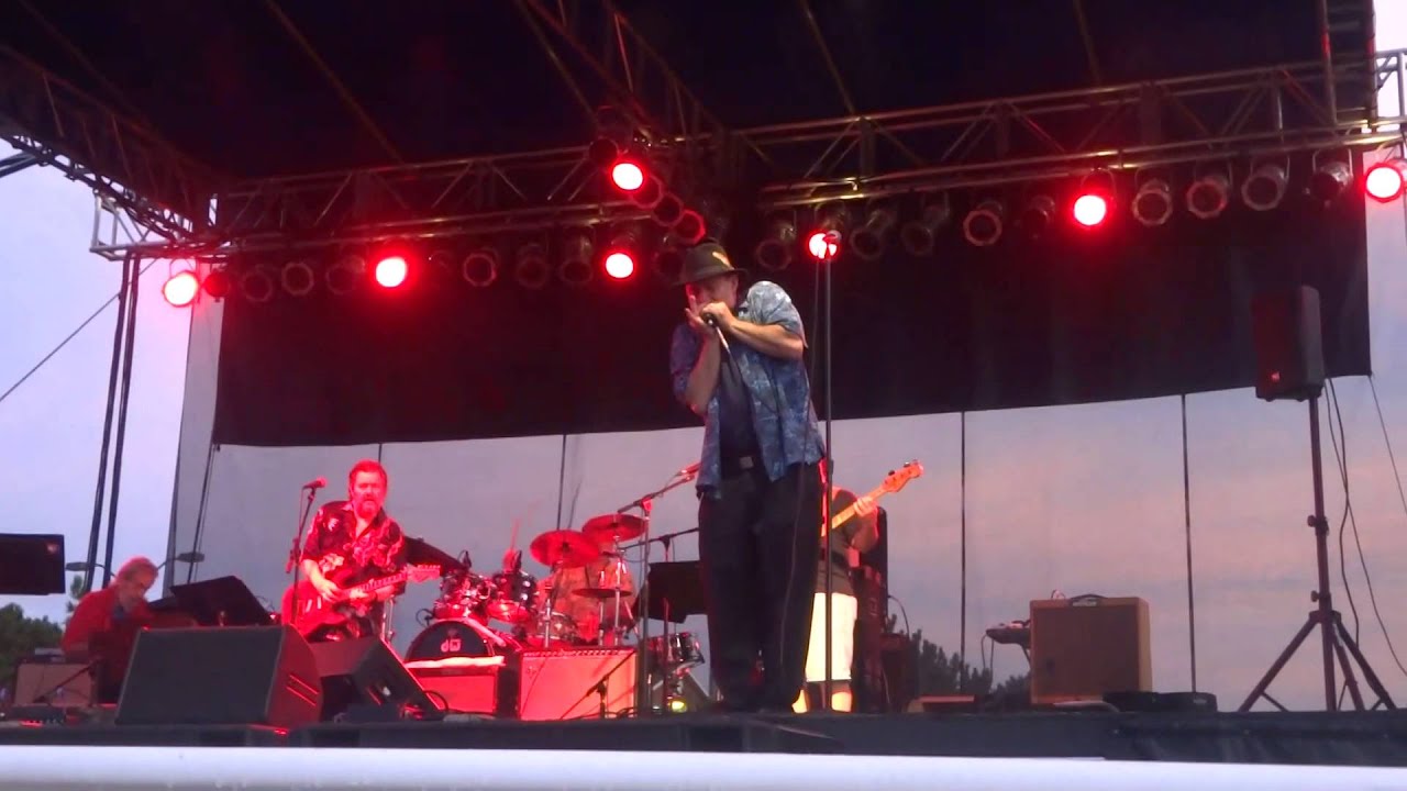 JUNIOR WELLS ALL STAR TRIBUTE - Tin Pan Alley - Pierre Lacocque  8/23/14