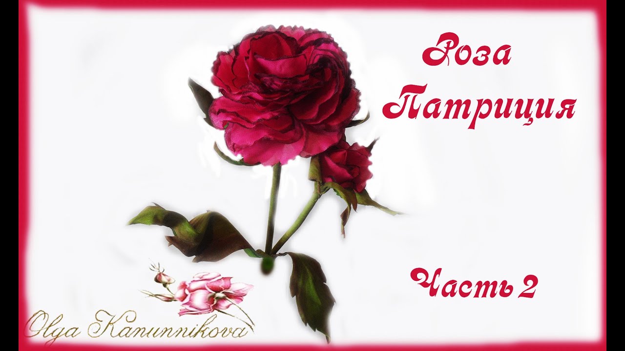 Роза Патриция. Часть 2 - YouTube