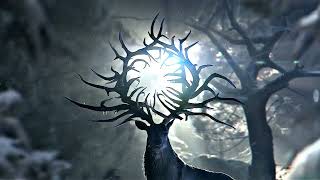 4K Edit Shadow & Bone Series #4kedit