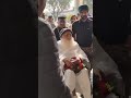 पूज्य बापूजी के 🥰 आज के😍श्री दर्शन 🙇🏻♀️वाटिका से 🪄✈️ एयरपोर्ट के लिए✈️#live#love#song#shyam#music