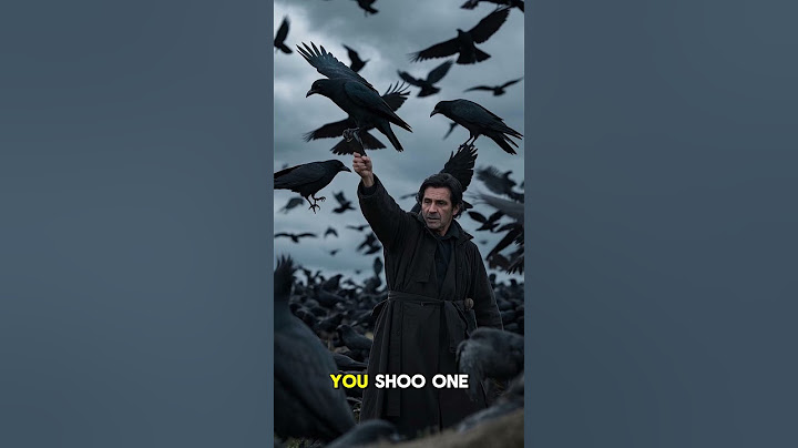 Crows Never Forget a Face... Even Yours! 😱🐦