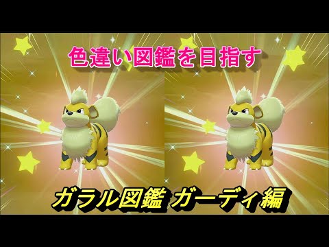 ソードシールド ガーディの種族値 わざ 特性など能力と入手方法 ポケモン剣盾 攻略大百科