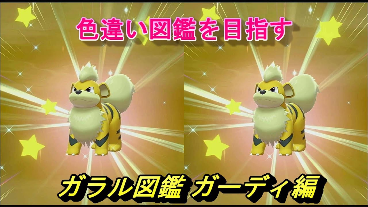 色違い図鑑 ガラル図鑑 ガーディ編 ポケモン剣盾 Youtube