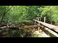 4c national recreation trail  a 20mile hike through the east texas piney woods