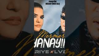 Mehmet Özdemir Resimi