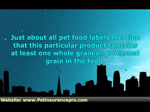 Video: Diamond Pet Foods Memperluas Recall Untuk Menyertakan Puppy Formula Dry Dog Food