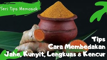 TIPS CARA MEMBEDAKAN JAHE, KUNYIT, LENGKUAS & KENCUR || Aneka Tips