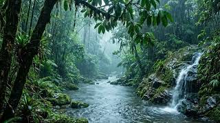 Immerse Yourself in Gentle Rain and Forest River Nature Sounds for Better Sleep