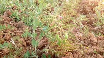 my vlog video help you #myfirstvlogviral