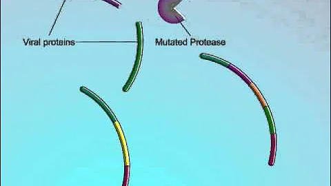 Mechanisms of PI Resistance