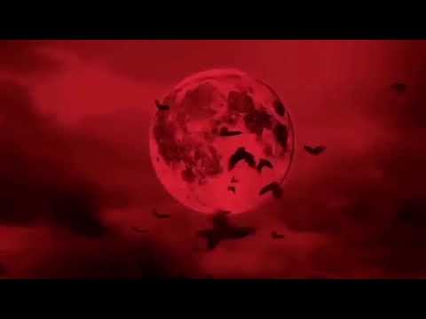 SiM LIVE 入場SE 【自作】