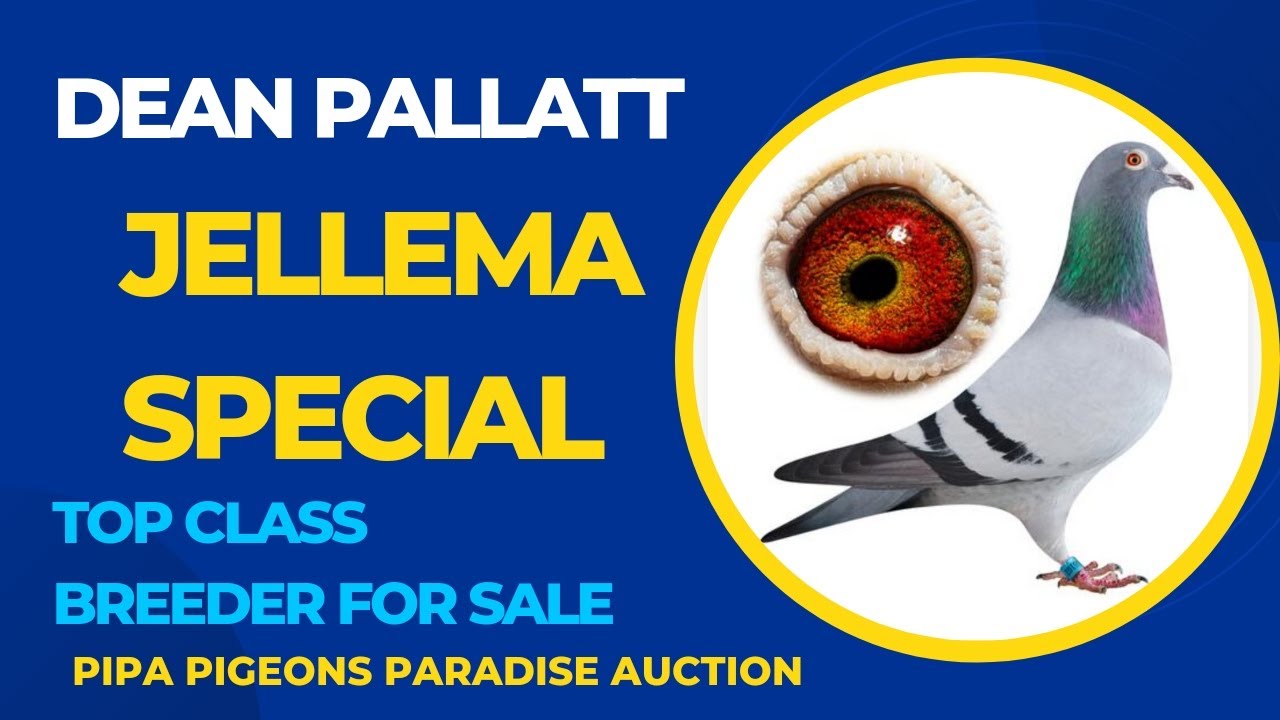 The Digital Landscape at STAMP Gallery | Adele H. Stamp Student Union, image size:1280x720