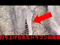 【衝撃映像】鳥肌とワクワクが止まらない恐怖映像TOP5 Ep2: 打ち上げられたドラゴンの死体【ミステリー】【都市伝説】