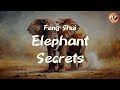 Feng Shui Elephant Secrets: What They Really Mean and Where to Place Them