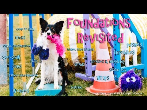 Fundations Revisited DVD trailer