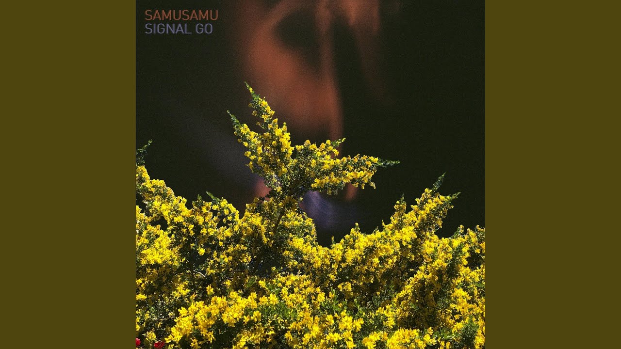 在 YouTube 上觀看「Signal Go」