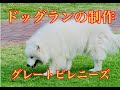 ドッグラン・ドッグスペース制作！グレートピレニーズの犬小屋【つくばみらい市】
