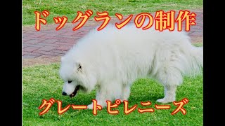 ドッグラン・ドッグスペース制作！グレートピレニーズの犬小屋【つくばみらい市】