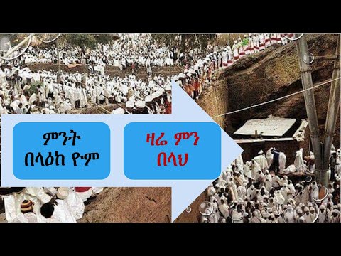 ቪዲዮ: ምንት ቦረሮች ምንድን ናቸው - ስለ ሚንት ስርወ ቦረር መቆጣጠሪያ መረጃ