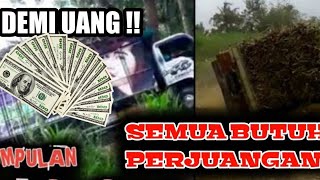 🔴KUMPULAN TRUK TEBU TERGULING ! NEKAT JALUR EKSTRIM DEMI RUPIAH!