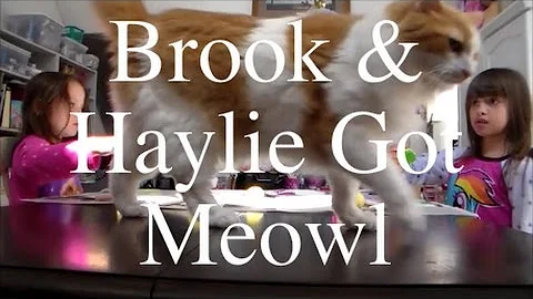 Haylie & Brook Got Meowl!