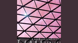 Tears (Funk Evolution Version)