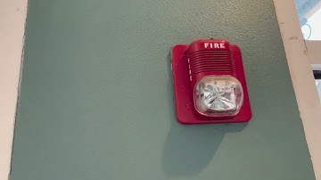 SystemSensor SpectrAlert Classic & FireLite BG12L