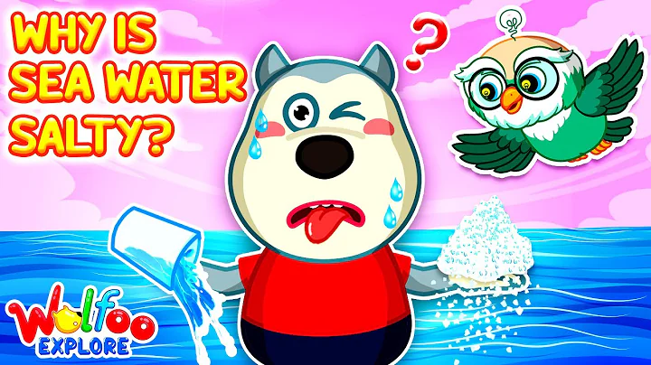 Why Is the Ocean Salty? 🌊| 🔍 Wolfoo Explore  - Nature | Educational Videos for Kids
