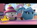 SUNNY BUNNIES Playing Dress Up Season 3 Cartoons For Children 