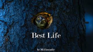 Mi1hrandir-Best Life Music 2021