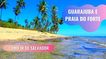 Tem ônibus de Salvador para Guarajuba?