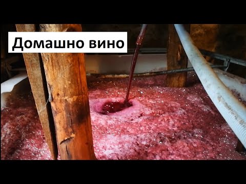 Видео: Как се прави сухо червено вино