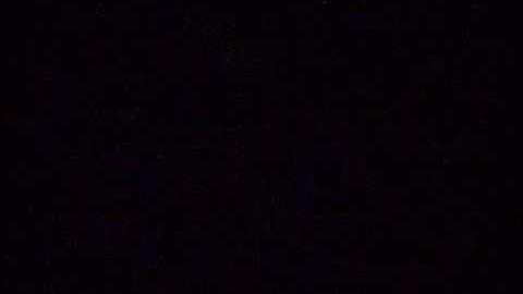 DART FIRST STATE BUS #557 (Retired) Audio