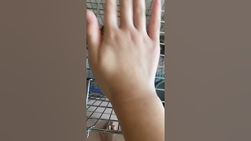 Sóc nhen ăn mít|sóc nhen official 2