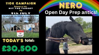 Nero  prepare for his FIRST Open Day | Fabulous teamwork | Burning the midnight oil