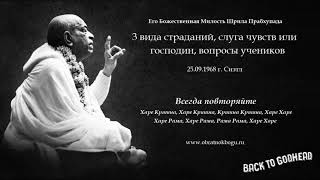 видео: Шрила Прабхупада - 3 вида страданий, слуга чувств или господин, вопросы учеников (27.09.1968 г. Си.. картинка: Шрила Прабхупада - 3 вида страданий, слуга чувств или господин, вопросы учеников (27.09.1968 г. Си..